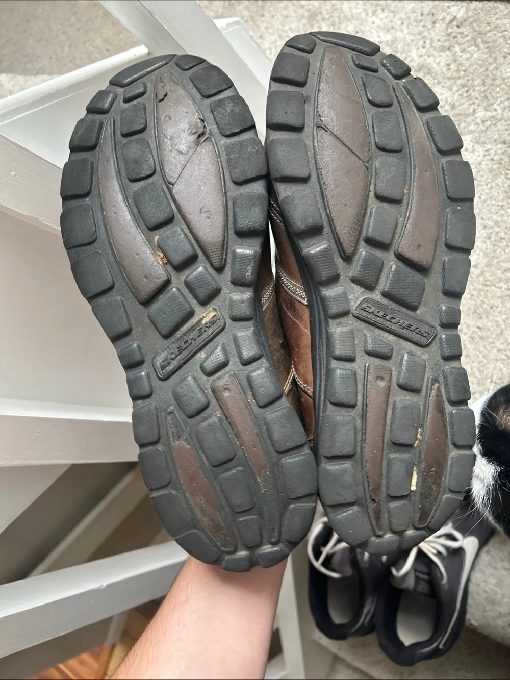 Skechers brown leather